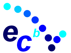 EDV Consulting im Bereich Homepage Analyse und Design sowie Qualittssicherung